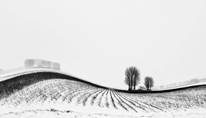 Kamal-ol-Molk Silver Trophy