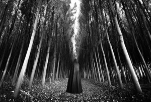 Khayyam Silver Trophy