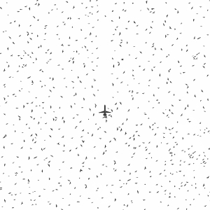 Kamal-ol-Molk Bronze Trophy