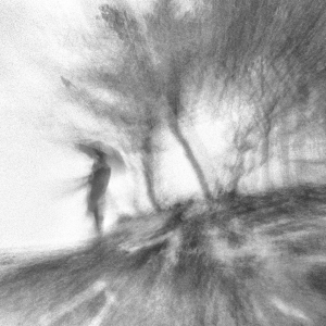 Kamal-ol-Molk Silver Trophy